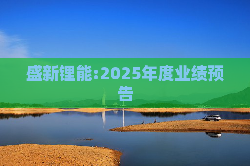 盛新锂能:2025年度业绩预告