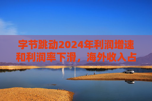 字节跳动2024年利润增速和利润率下滑，海外收入占比达历史最高  第1张