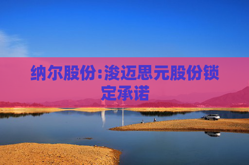 纳尔股份:浚迈思元股份锁定承诺