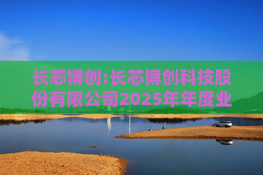 长芯博创:长芯博创科技股份有限公司2025年年度业绩预告