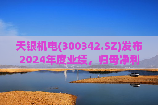 天银机电(300342.SZ)发布2024年度业绩，归母净利润9040.74万元，同比增长175.80%