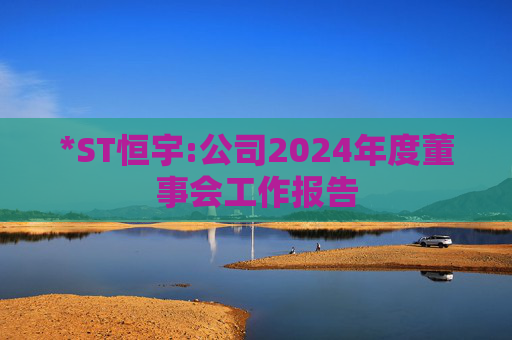 *ST恒宇:公司2024年度董事会工作报告