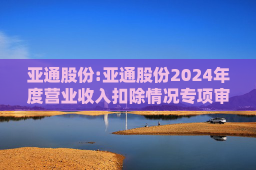 亚通股份:亚通股份2024年度营业收入扣除情况专项审核意见