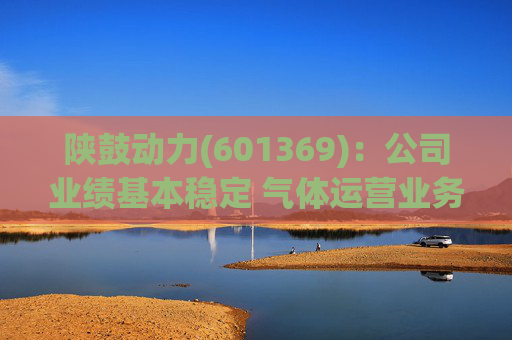 陕鼓动力(601369)：公司业绩基本稳定 气体运营业务贡献新增长引擎