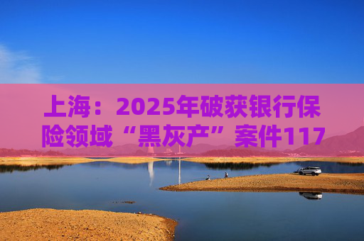 上海：2025年破获银行保险领域“黑灰产”案件117起 持续净化金融生态