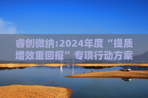 睿创微纳:2024年度“提质增效重回报”专项行动方案的评估报告暨2025年度“提质增效重回报”专项行动方案