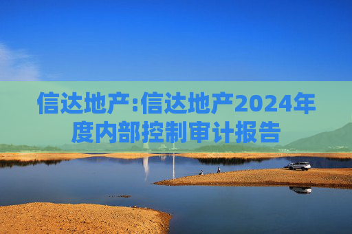 信达地产:信达地产2024年度内部控制审计报告