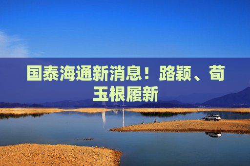 国泰海通新消息！路颖、荀玉根履新