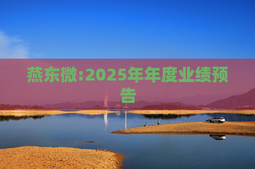 燕东微:2025年年度业绩预告