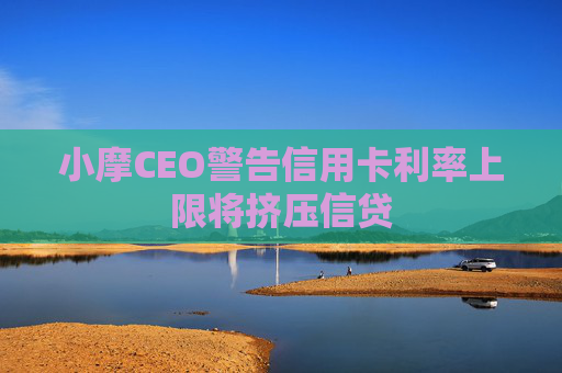 小摩CEO警告信用卡利率上限将挤压信贷