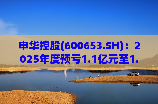 申华控股(600653.SH)：2025年度预亏1.1亿元至1.85亿元