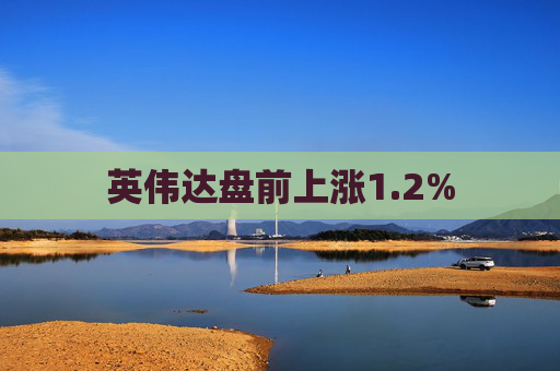 英伟达盘前上涨1.2%