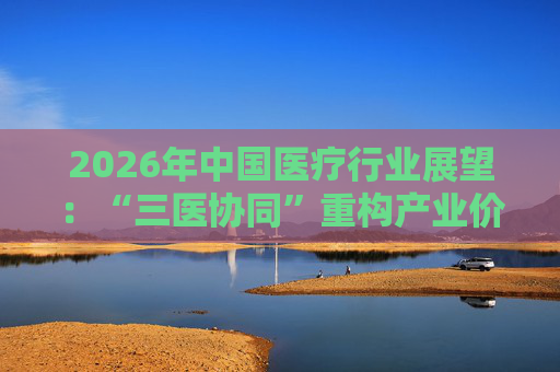 2026年中国医疗行业展望：“三医协同”重构产业价值链