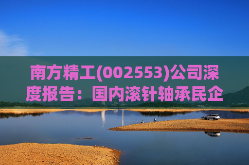 南方精工(002553)公司深度报告：国内滚针轴承民企龙头 工艺延伸促成长