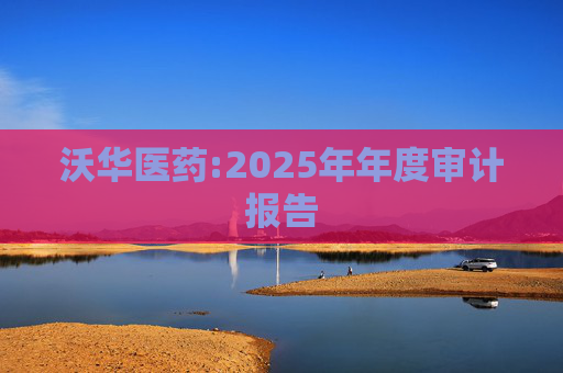 沃华医药:2025年年度审计报告