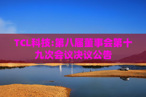 TCL科技:第八届董事会第十九次会议决议公告