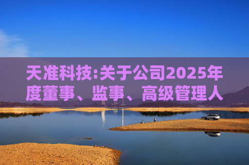 天准科技:关于公司2025年度董事、监事、高级管理人员薪酬方案的公告