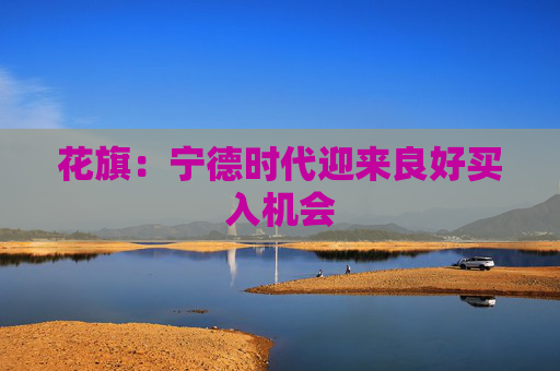 花旗：宁德时代迎来良好买入机会