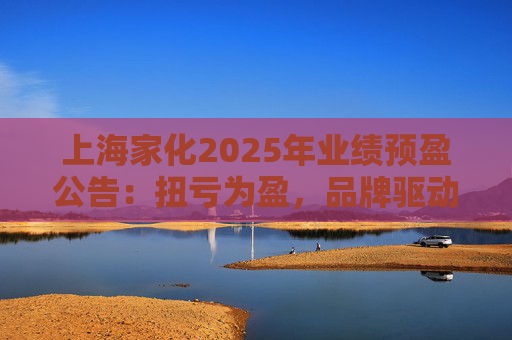 上海家化2025年业绩预盈公告：扭亏为盈，品牌驱动重回增长轨道  第1张