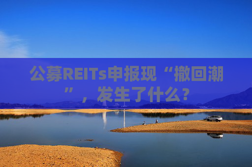 公募REITs申报现“撤回潮”，发生了什么？