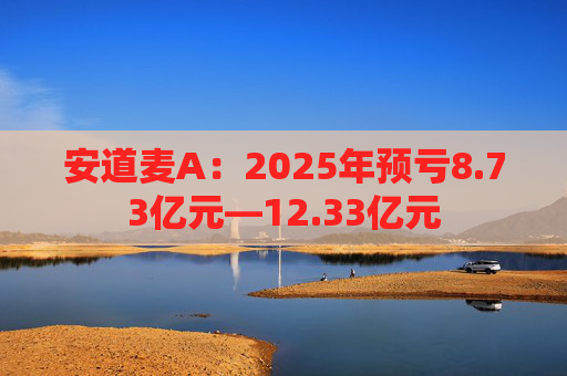 安道麦A：2025年预亏8.73亿元—12.33亿元