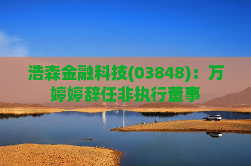 浩森金融科技(03848)：万婷婷辞任非执行董事
