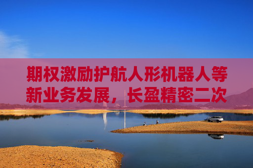 期权激励护航人形机器人等新业务发展，长盈精密二次创业步入发展新纪元