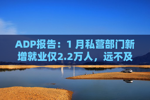 ADP报告：1 月私营部门新增就业仅2.2万人，远不及预期