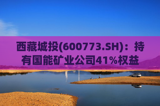 西藏城投(600773.SH)：持有国能矿业公司41%权益