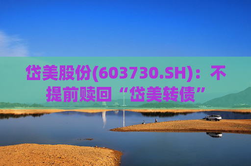 岱美股份(603730.SH)：不提前赎回“岱美转债”