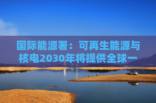 国际能源署：可再生能源与核电2030年将提供全球一半电力