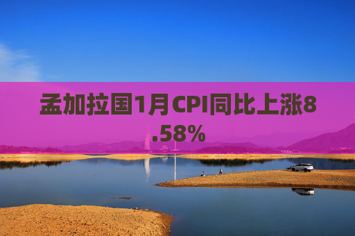 孟加拉国1月CPI同比上涨8.58%  第1张