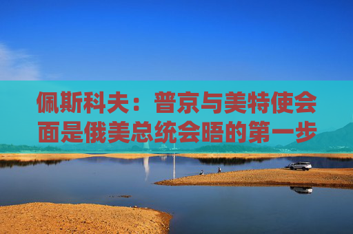 佩斯科夫：普京与美特使会面是俄美总统会晤的第一步  第1张