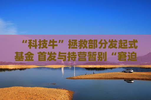 “科技牛”拯救部分发起式基金 首发与持营暂别“窘迫”