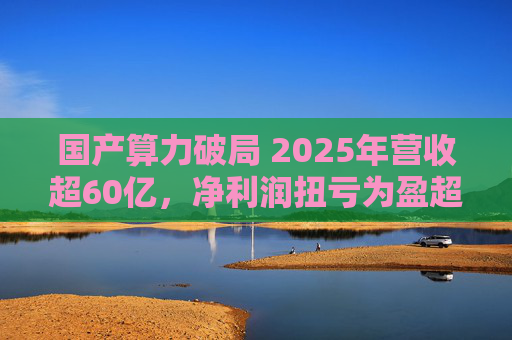 国产算力破局 2025年营收超60亿，净利润扭亏为盈超18亿