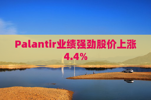 Palantir业绩强劲股价上涨4.4%