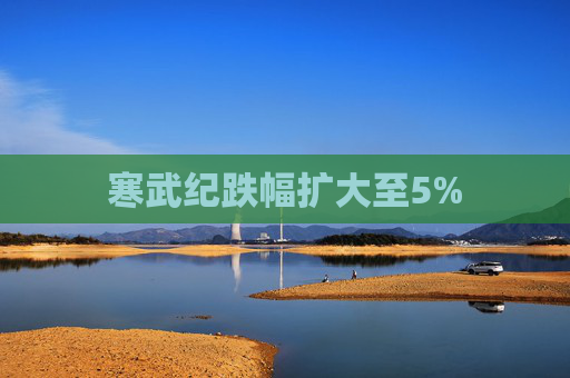寒武纪跌幅扩大至5%