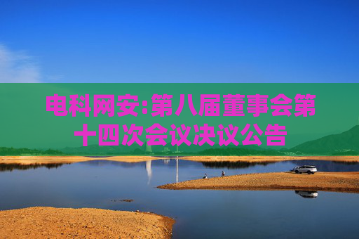 电科网安:第八届董事会第十四次会议决议公告