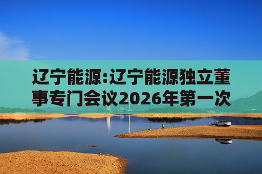 辽宁能源:辽宁能源独立董事专门会议2026年第一次会议决议