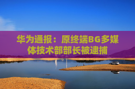 华为通报：原终端BG多媒体技术部部长被逮捕