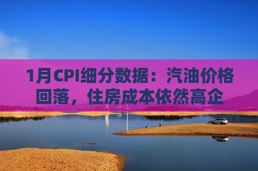 1月CPI细分数据：汽油价格回落，住房成本依然高企