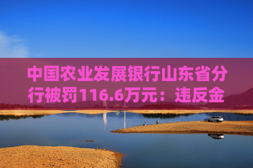 中国农业发展银行山东省分行被罚116.6万元：违反金融统计相关规定