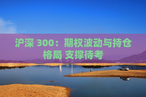 沪深 300：期权波动与持仓格局 支撑待考  第1张