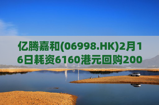 亿腾嘉和(06998.HK)2月16日耗资6160港元回购2000股