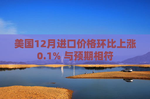 美国12月进口价格环比上涨0.1% 与预期相符