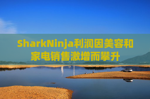 SharkNinja利润因美容和家电销售激增而攀升
