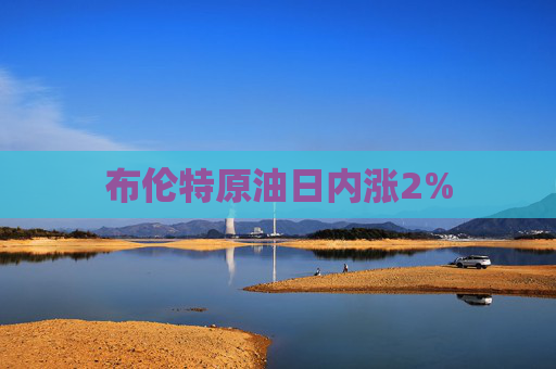 布伦特原油日内涨2%