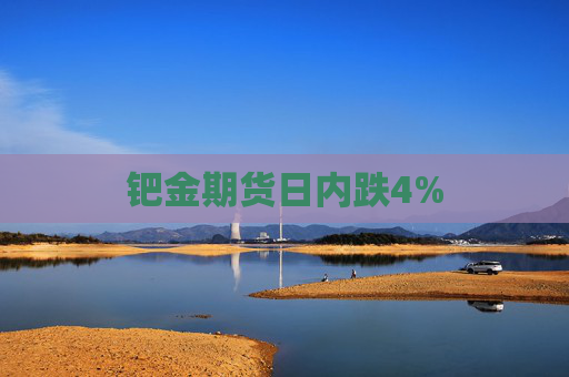 钯金期货日内跌4%