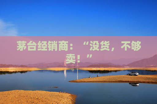 茅台经销商：“没货，不够卖！”