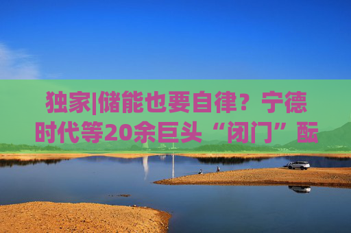 独家|储能也要自律？宁德时代等20余巨头“闭门”酝酿倡议